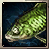 Green Koi